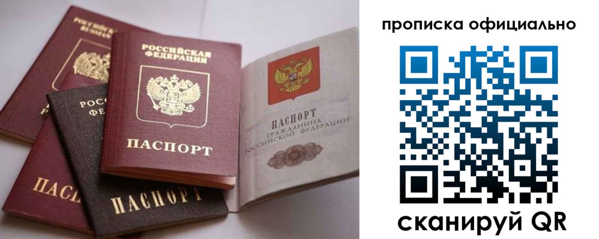 временная регистрация поиск в Владимирской области